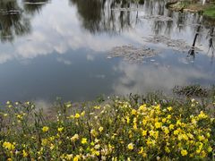 -呈贡滇池生态湿地公园