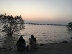 -宝安西湾红树林湿地公园
