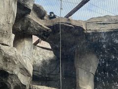-南昌动物园