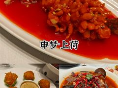 -圆苑(静安寺店)