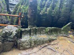 -梭布垭石林景区