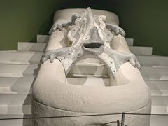 -遇见博物馆(遇见海洋沉浸式奇幻光影展)