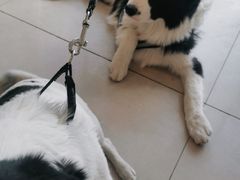-平行世界·猫咖(首经贸店)