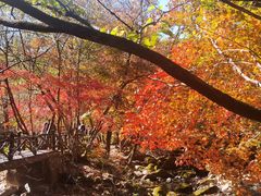 -本溪老边沟风景区