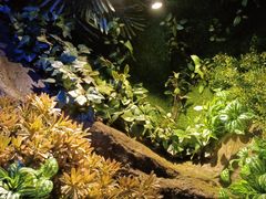 -湘当爱·鲜煮现炒(松岗立业路店)