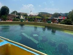 -上海玛雅海滩水公园