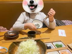 -胜博殿日式炸猪排(悠唐店)