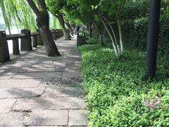 -运河游船(武林门码头)