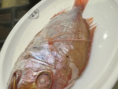 -吴记富苑(朝阳店)