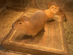 -波塞冬旅游度假区