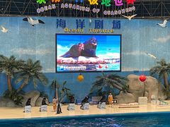 -泉城欧乐堡海洋极地世界