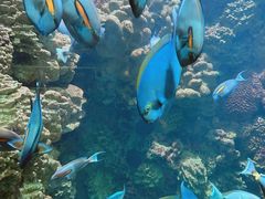 -海合安青岛极地海洋公园