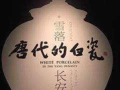 -西安唐皇城墙含光门遗址博物馆