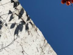 -吴作人艺术馆