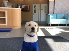 -爱妮康宠物医院·干细胞免疫细胞·肿瘤·心脏(张江店)