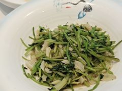 -惠丰堂饭庄(北洼路店)