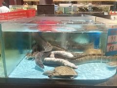 -阿伟海鲜楼·福建菜(延寿店)