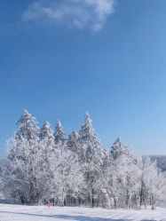 -大秃顶子山
