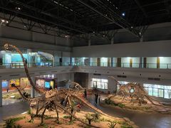 -自贡恐龙博物馆