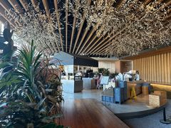 -Seesaw Coffee(朝阳大悦城店)