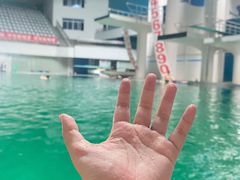 -重庆市奥林匹克体育中心-游泳跳水馆