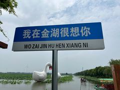 -荷花荡