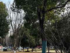 -四里河滨水生态公园