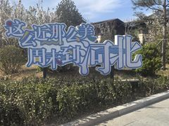 -和众大油条(维明路店)