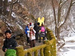 -少华山国家森林公园