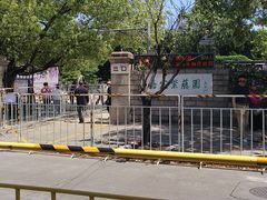 -嘉定紫藤园