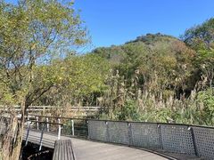 -西湖风景区-江洋畈生态公园