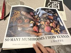-半山腰·云南菜(侨福芳草地店)