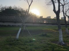 -江滩湿地公园
