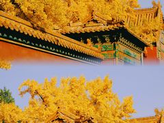 -故宫博物院(故宫)