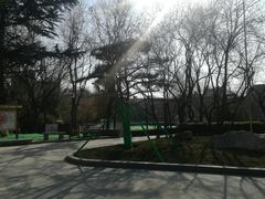 -莲湖公园