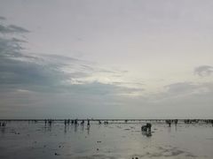 -奉贤海滩