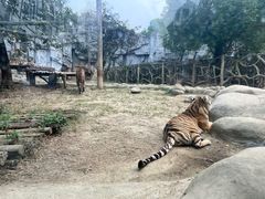 -常州淹城野生动物世界