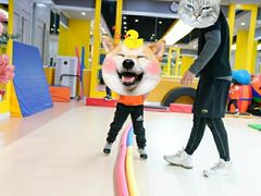 -能量学院少儿体能运动馆(公园1872店)