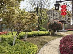 -南京市芳草园小学(凤凰校区)