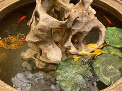 -老码头火锅(骡马市店)