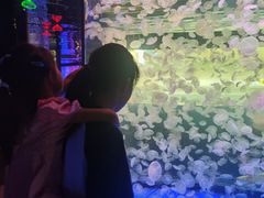 -江和美海洋公园