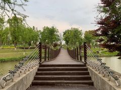 -九科绿洲