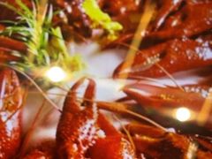 -杨氏青龙虾·羊蝎子(托乐嘉店)