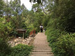 -石溪公园