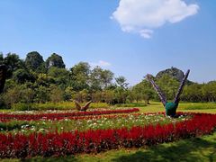-南宁花花大世界景区