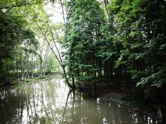 -桤木河湿地公园