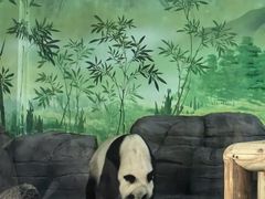 -秦皇岛野生动物园