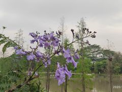 -怡海公园(桂城街道)