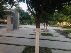 -木塔寺遗址生态公园