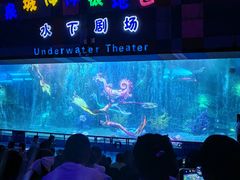 -泉城欧乐堡海洋极地世界